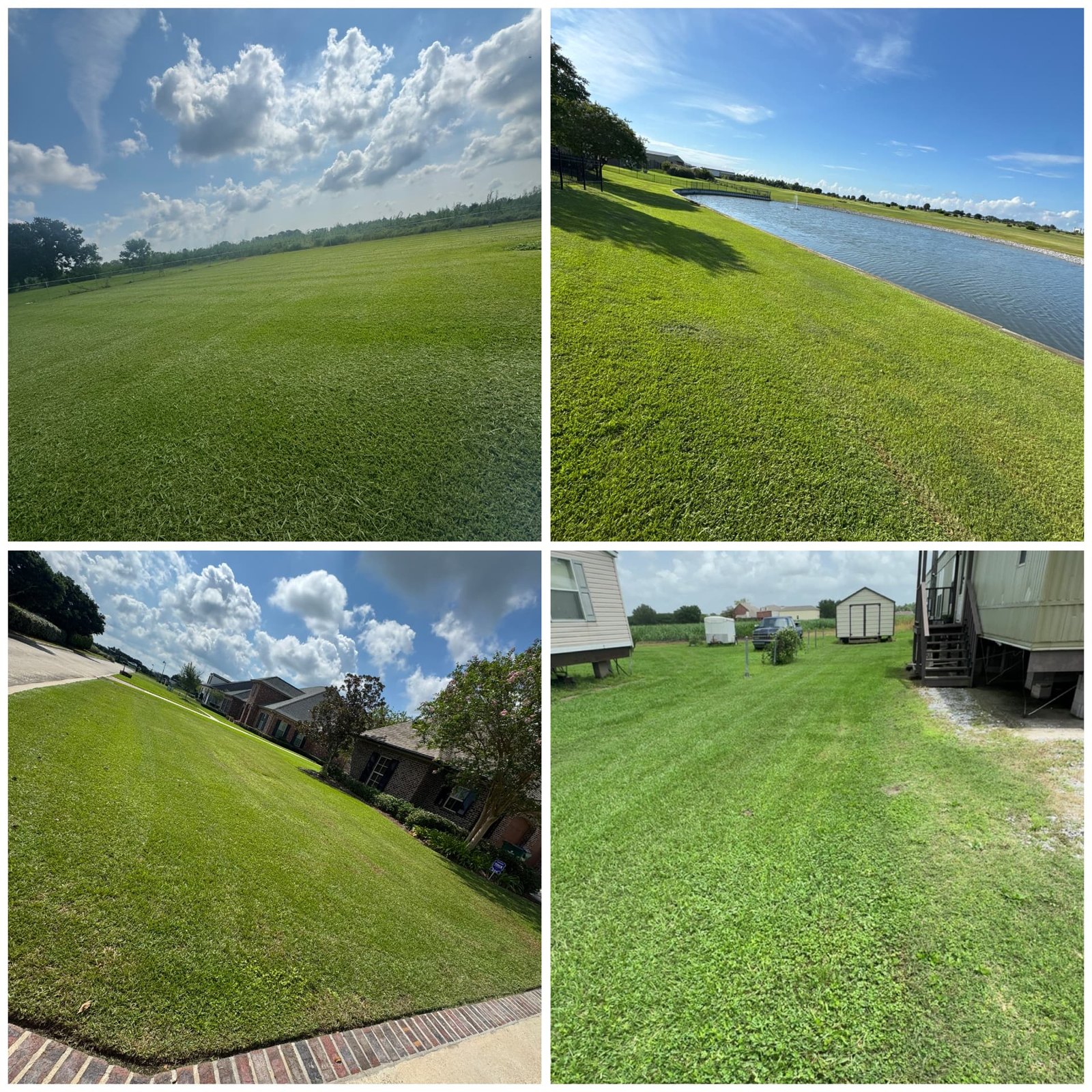Freshly mowed and edged South Louisiana lawns maintained by T-Boy's Lawncare & Landscaping